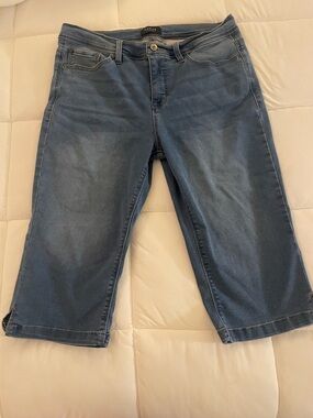 Gloria Vanderbilt Blue Denim Ankle-Length Jeans